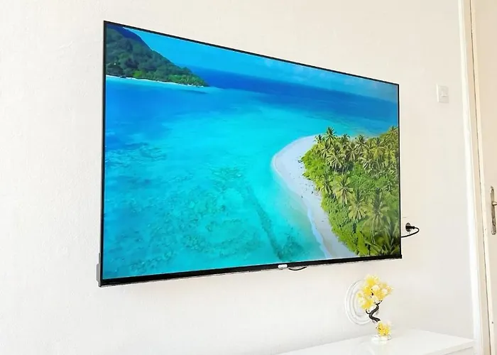 Gold * Νόβι Πάζαρ